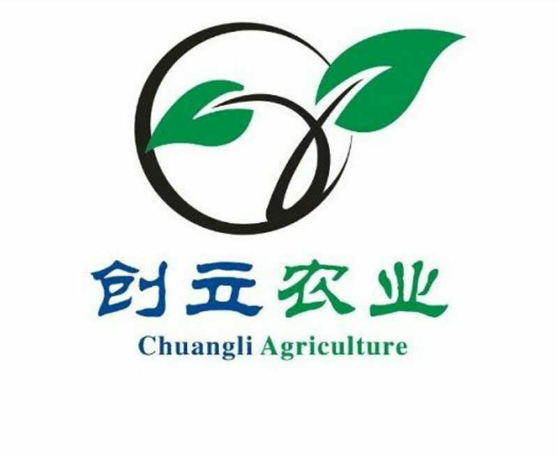 漳浦创盈实业有限公司